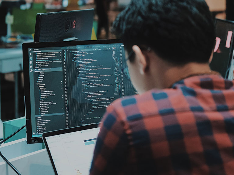 wordpress plugin development