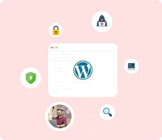 Wordpress Development Services