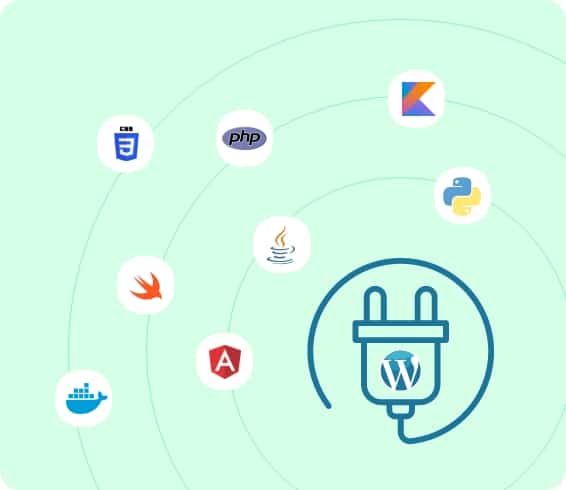Wordpress Development Services